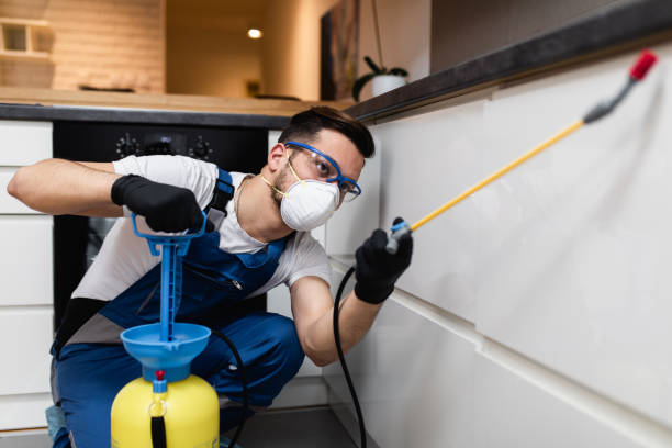Best Flea Control Services  in Pistakee Highlands, IL