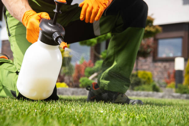 Best Pest Control Near Me  in Pistakee Highlands, IL