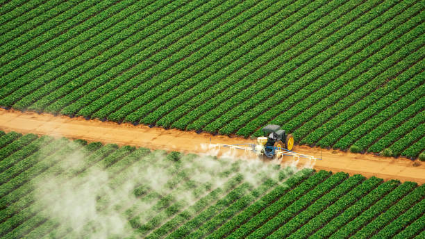 Reliable Pistakee Highlands, IL Pest Control Solutions