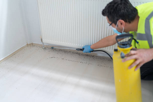 Best Emergency Pest Control  in Pistakee Highlands, IL