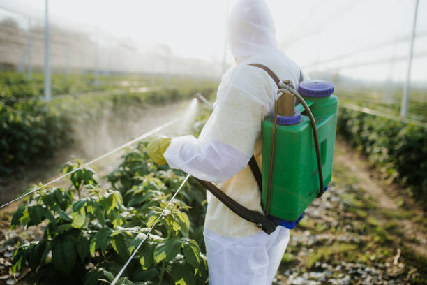 Trusted Pistakee Highlands, IL Pest Control Experts